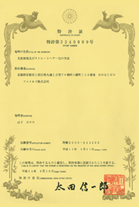 日本での特許 日本での特許