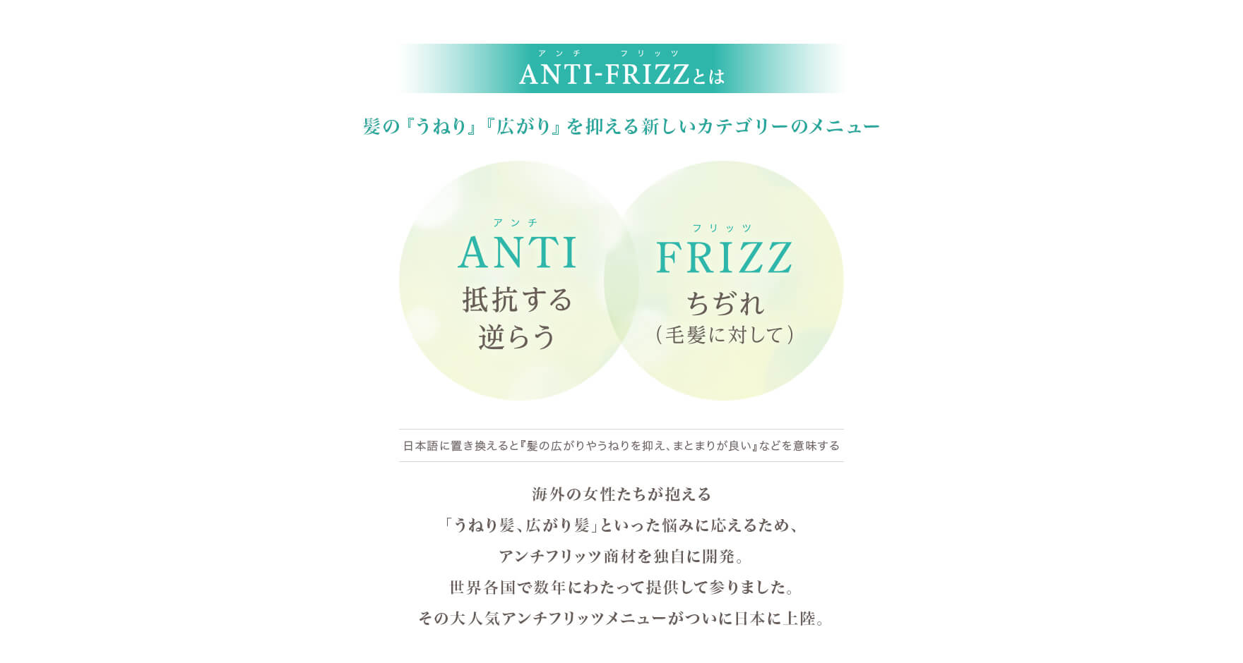 海外の女性たちが抱える「うねり髪、広がり髪」といった悩みに応えるため、アンチフリッツ商材を独自に開発。世界各国で数年にわたって提供して参りました。その大人気アンチフリッツメニューがついに日本に上陸。