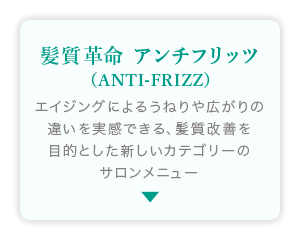 髪質革命アンチフリッツ （ANTI-FRIZZ）