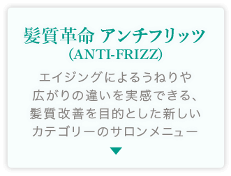 髪質革命アンチフリッツ （ANTI-FRIZZ）